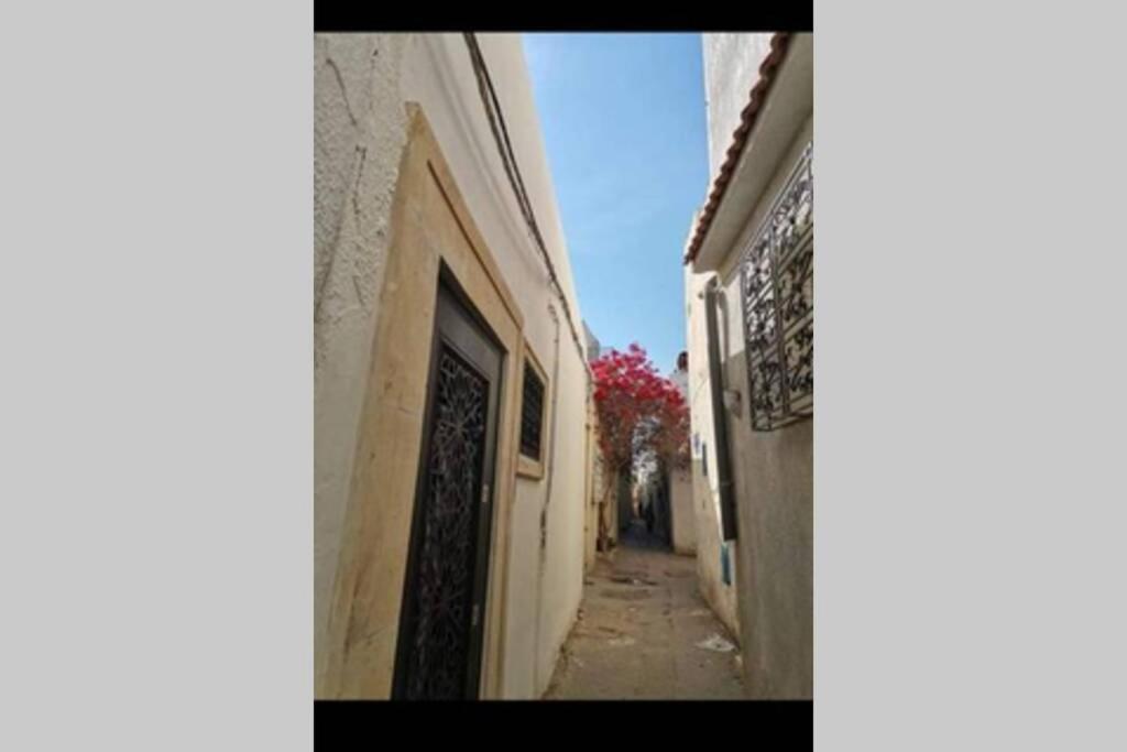 شقة Dar El Halfaouine تونس المظهر الخارجي الصورة